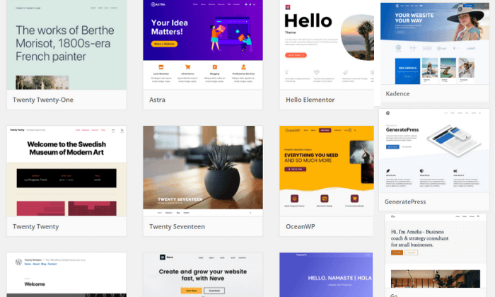 WordPressdotorg top customizable themes