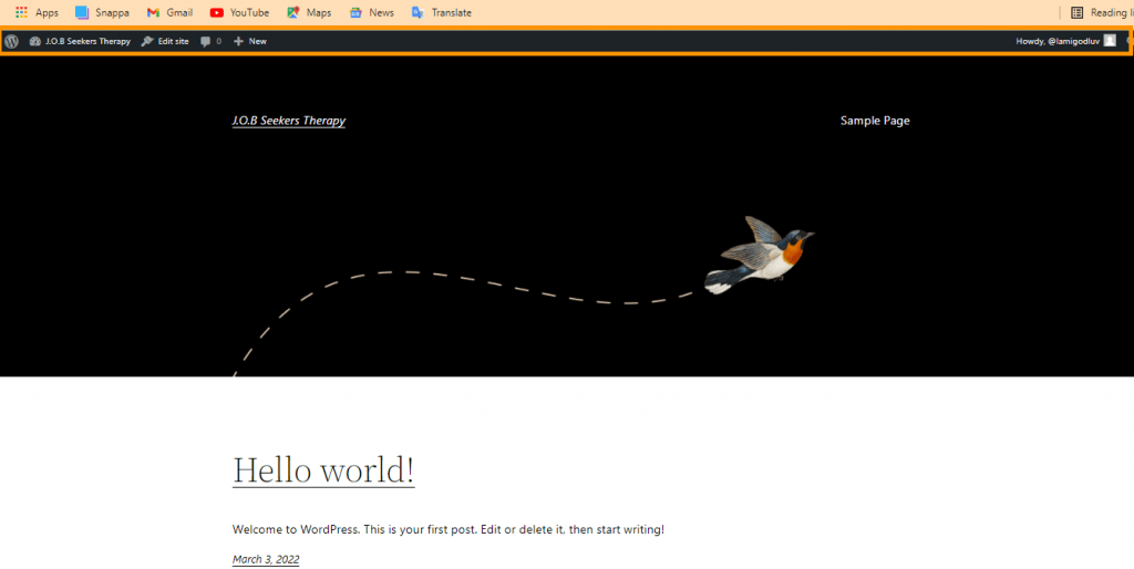 Create Your WordPress Website
