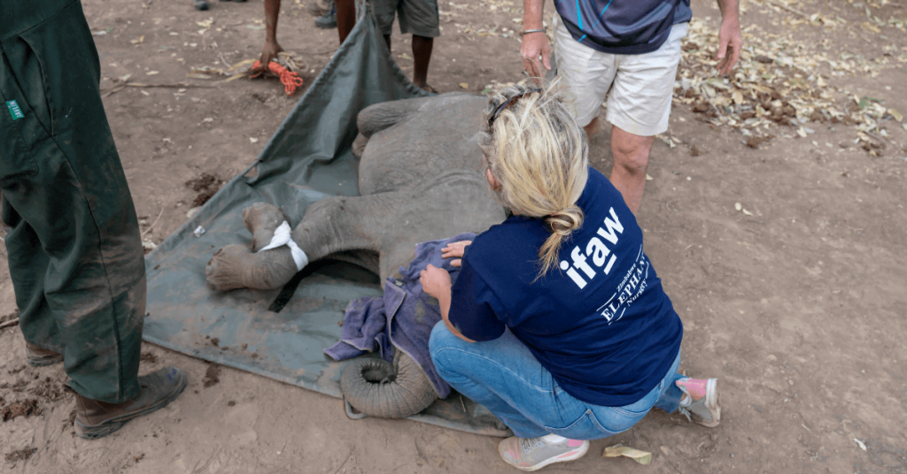 Copywriting Career For Non-Profit Organizations